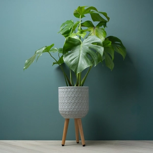 Geometric Pot on Legs White (D30cm x H52cm) Multi-use Indoor Plant Pot Cover On Legs - image 3