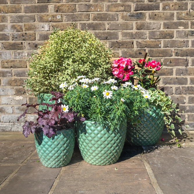 Glazed Terracotta Pineapple Egg Pot Celadon Green (D22cm x H18cm) Handmade Outdoor Planter Pot - image 2