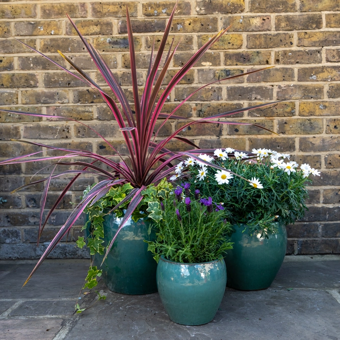 Glazed Celadon Green (D20cmx18cm) Handmade Outdoor Planter Pot - image 3