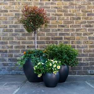 Glazed Terracotta Belly Matt Black Planter (D20cmx18cm) Handmade Outdoor Plant Pot - image 2