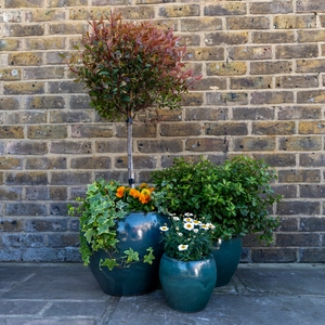 Glazed Terracotta Belly Moss Green Planter (D20cmx18cm) Handmade Outdoor Plant Pot - image 2