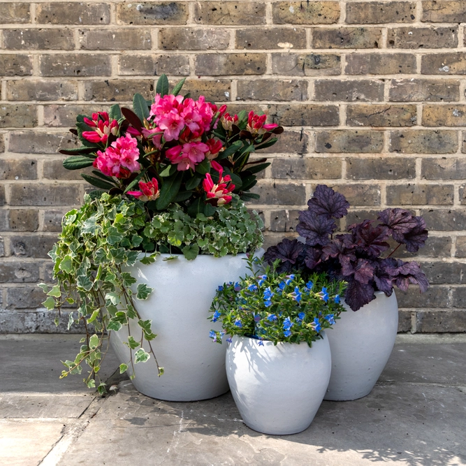 Glazed Terracotta Belly Pot White Planter (D20cmx18cm) Handmade Outdoor Plant Pot - image 2