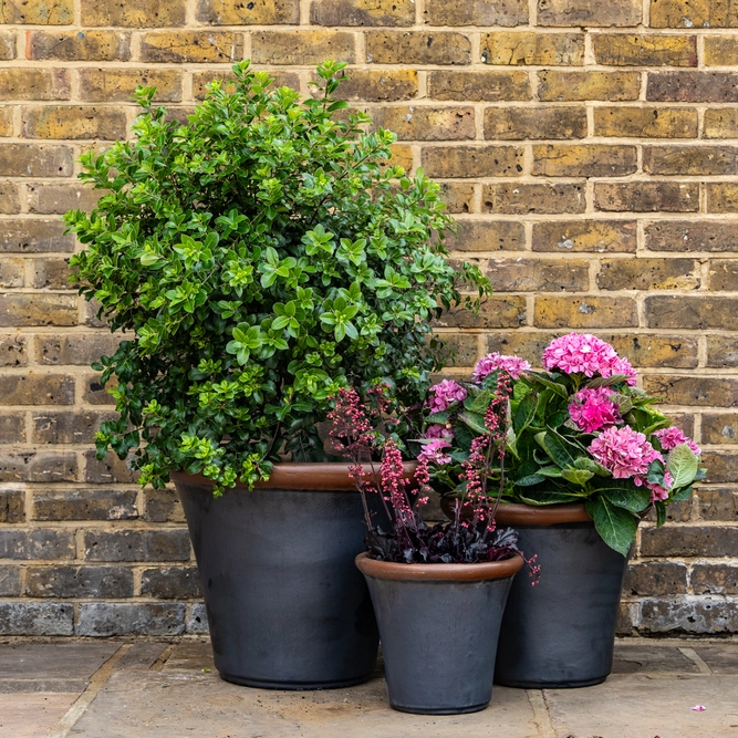 Glazed Terracotta Brighton Graphite Planter (Pot Size D32cm x H27cm) Handmade Outdoor Plant Pot - image 2