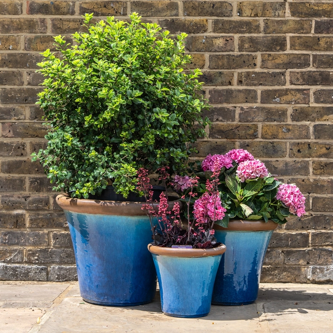 Glazed Terracotta Brighton Mediterranean Planter (Pot Size D30cm x H27cm) Handmade Outdoor Plant Pot - image 2