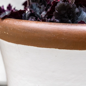 Glazed Terracotta Brighton White Planter (Pot Size D41cm x H34cm) Handmade Outdoor Plant Pot - image 3