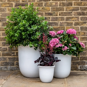 Glazed Terracotta Campana White Planter (Pot Size D23cm x H23cm) Handmade Outdoor Plant Pot - image 2