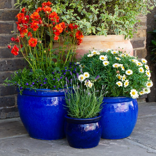 Glazed Terracotta Delta Rim Blue Planter (D21xH16cm) Handmade Outdoor Plant Pot - image 2