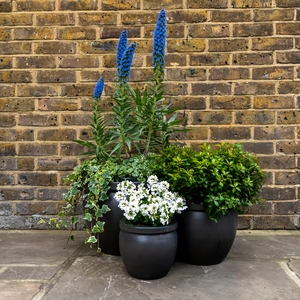 Glazed Terracotta Delta Rim Matt Black Planter (D21cmx16cm) Handmade Outdoor Plant Pot - image 2