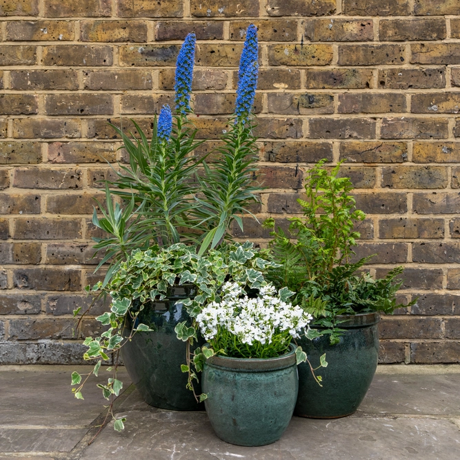 Glazed Terracotta Delta Rim Moss Green Planter (D21cmx18cm) Handmade Outdoor Plant Pot - image 2