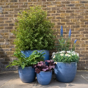 Glazed Terracotta Egg Pot Antique Grey Planter (D30cm x H26cm) Handmade Outdoor Plant Pot - image 2