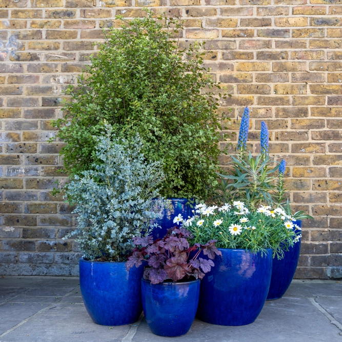 Glazed Terracotta Egg Pot Blue Planter (D22cm x H21cm) Handmade Outdoor Plant Pot - image 2