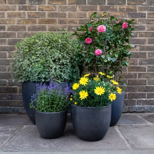 Glazed Terracotta Egg Pot Matt Black (D22cm x H21cm) Handmade Outdoor Plant Pot - image 2