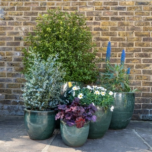 Glazed Terracotta Egg Pot Moss Green Planter (D22cm x H21cm) Handmade Outdoor Plant Pot - image 2