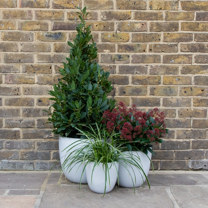 Glazed Terracotta Egg Pot White Planter (D36cm x H32cm) Handmade Outdoor Plant Pot - image 3