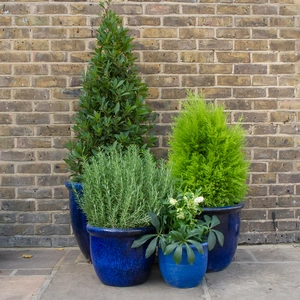 Glazed Terracotta HP001 Egg Pot Rim Blue Planter (Pot Size D30cm x H25cm) Handmade Outdoor Plant Pot - image 3