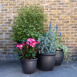 Glazed Terracotta HP001 Egg Pot Rim Matt Black Planter (D30cm x H25cm) Handmade Outdoor Plant Pot - image 2