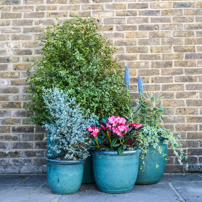 Glazed Terracotta HP001 Egg Pot Rim Moss Green Planter (D30cm x H25cm) Handmade Outdoor Plant Pot - image 2