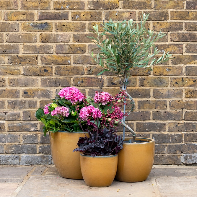 Glazed Terracotta Planter - Egg Pot Honey (D22xH21cm) Handmade Outdoor Plant Pot - image 2