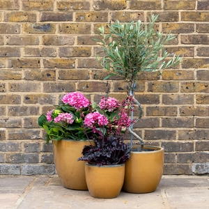 Glazed Terracotta Planter - Egg Pot Honey (D22xH21cm) Handmade Outdoor Plant Pot - image 2