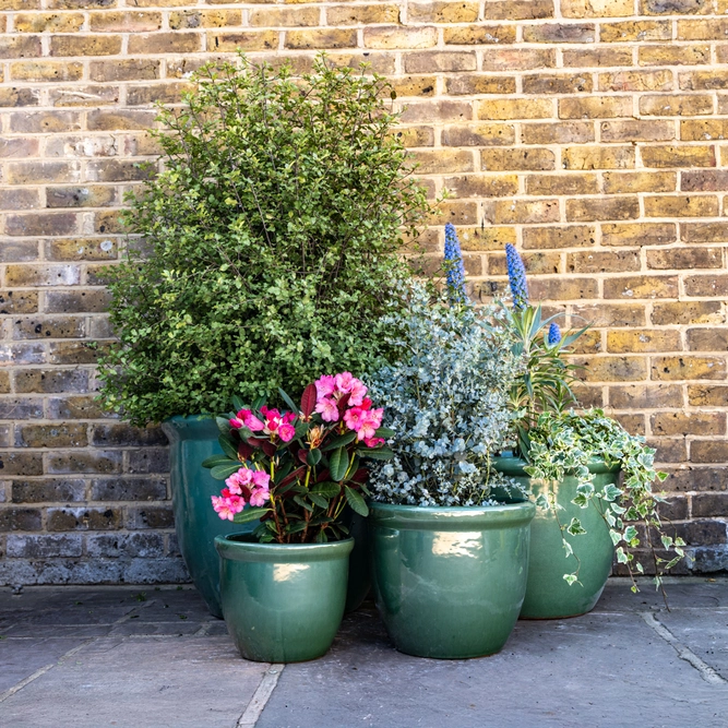 Glazed Terracotta Rim HP001 Celadon Green (D30cm x H25cm) Handmade Outdoor Planter Pot - image 2