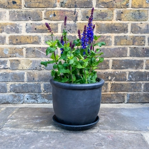 Glazed Terracotta Saucer Matt Black (D23cm) Handmade Plant Pot Saucer - image 4