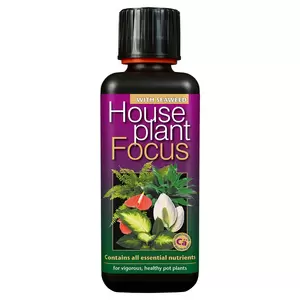 House Plant Focus -  Indoor Houseplant Food