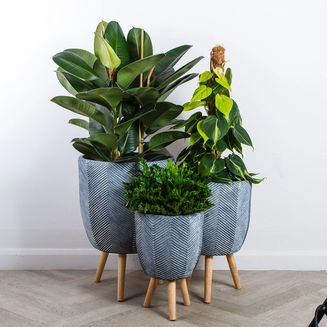 Iowa Pot Grey (D24cm x H40cm) Multi-use Indoor Plant Pot Cover On Legs - image 6