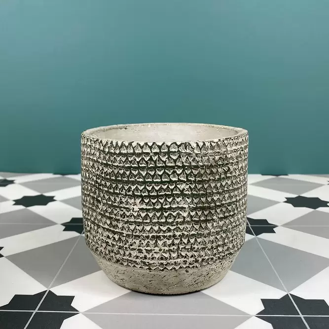 Jack Pot Green (Pot Size D10.5cm x H12.5cm) Indoor Plant Pot Cover - image 1