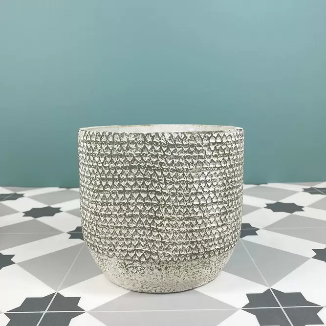 Jack Pot Green (Pot Size D12.5cm x H14cm) Indoor Plant Pot Cover - image 1