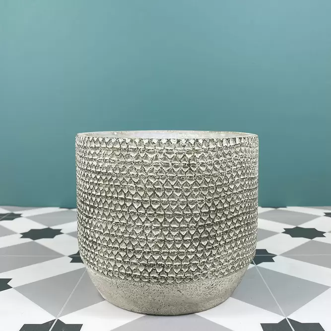 Jack Pot Green (Pot Size D13cm x H15cm) Indoor Plant Pot Cover - image 1