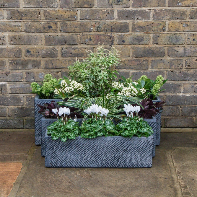 Linea Trough Black (W65cm x H22cm x D23cm) Fibreclay Outdoor Trough Planter - image 3