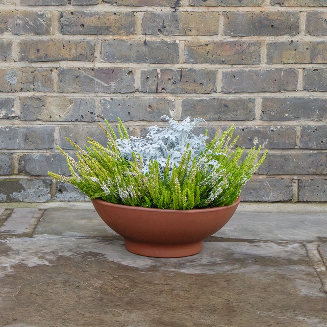 Low Terracotta Bowl 36cm - image 2