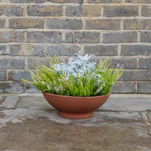 Low Terracotta Bowl 36cm - image 2