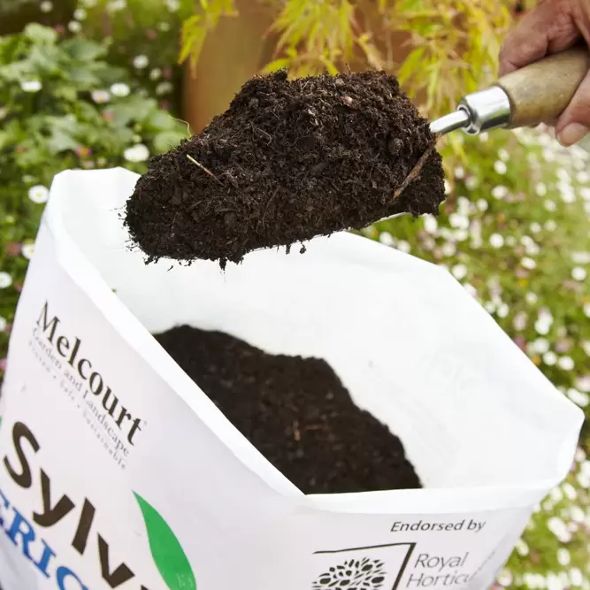 Melcourt Ericaceous 100% Peat Free Compost RHS 40L - image 2