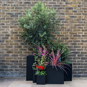 Polystone Cube Planter (D20cm x H20cm) Lighweight Outdoor Plant Pot - image 2