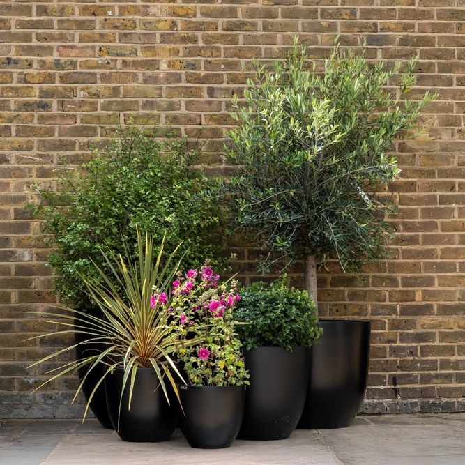 Polystone Egg Pot Planter (D33cm x H29cm) Lightweight Outdoor Plant Pot - image 2