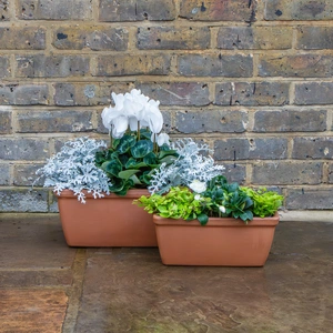 Roma Italian Terracotta Window Box (W32xH14xD16cm) Trough Planter - image 3