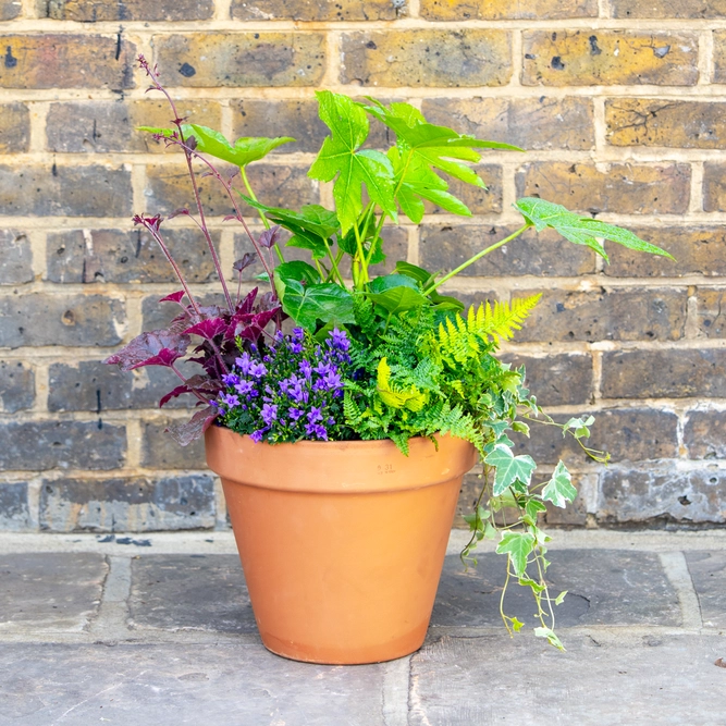 Shady Jungle Planter Large (D31cm) Ready-made Potted Plants - image 1