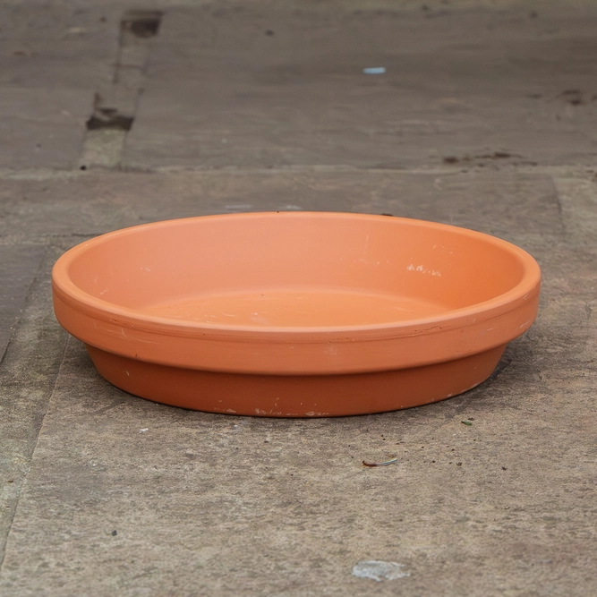 Standard Terracotta Saucer Size 11cm - image 3