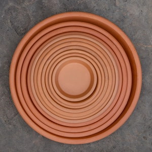 Standard Terracotta Saucer Size 11cm - image 2