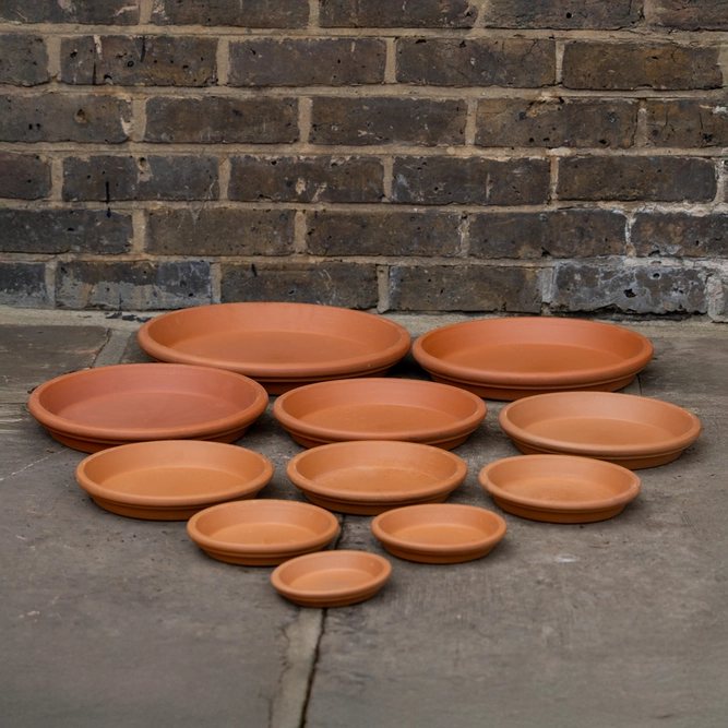 Standard Terracotta Saucer Size 11cm - image 4