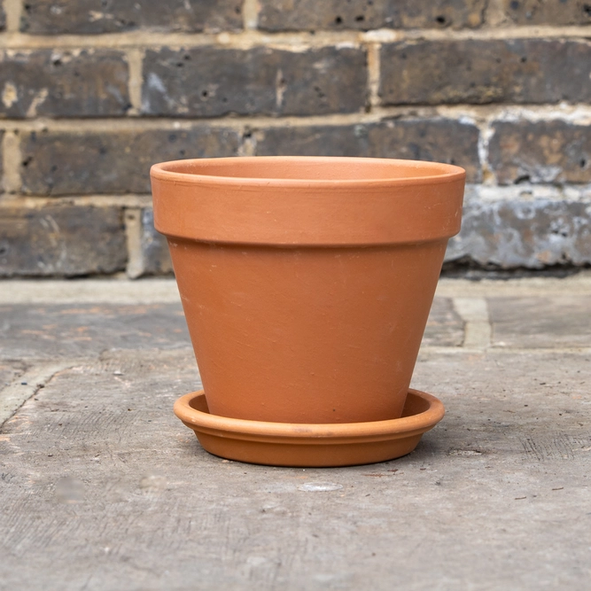 Standard Terracotta Saucer Size 11cm - image 6