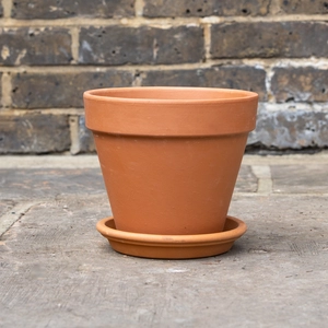 Standard Terracotta Saucer Size 11cm - image 6