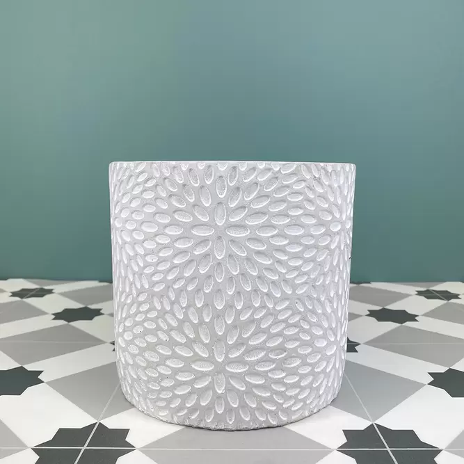 Sunburst Stone Effect (Pot Size D15cm x H15cm) Large Indoor Plant Pot Cover - image 1