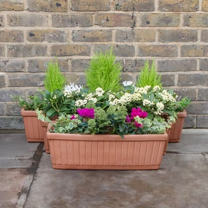 Terracotta Venetian Window Box (W52cm x H17cm x D20cm) Terracotta Trough Planter - image 2