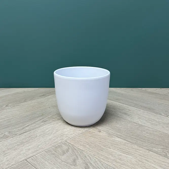 Tusca White Plant Pot (D13cm x H13.5cm) - image 1