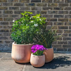 Whitewash Terracotta Cauldron Rib Planter (D30cm x H24cm) Handmade Outdoor Plant Pot - image 2