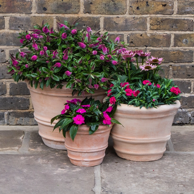 Whitewash Terracotta Coni Planter (Pot Size D24cmxH20cm) Handmade Outdoor Plant Pot - image 3