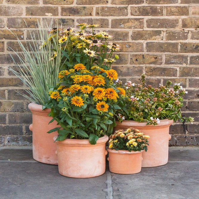 Whitewash Terracotta Cylinder Ears Planter (D30cm x H21cm) Handmade Outdoor Plant Pot - image 2