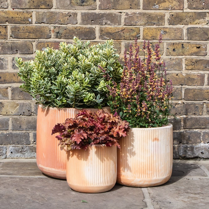 Whitewash Terracotta Cylinder Rib Planter (D22cm x H24cm) Handmade Outdoor Plant Pot - image 2